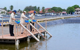 dorong-swasembada-pangan-dan-ekonomi-biru-presiden-prabowo-subianto-tinjau-langsung-kawasan-bluppb-di-karawang
