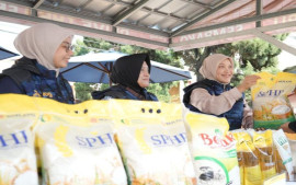 bulog-perkuat-stabilitas-pangan-lewat-monitoring-sphp-dan-penyaluran-banpang-di-banten