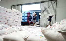 mulai-1-januari-2025-pupuk-indonesia-salurkan-pupuk-subsidi-berikut-cara-menebus-menggunakan-ktp-dan-kartu-tani