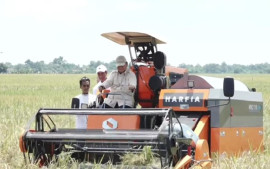 hadiri-panen-raya-di-majalengka-presiden-prabowo-tegaskan-perkuat-ketahanan-pangan-naisonal