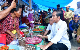 jelang-iduladha-presiden-tinjau-stabilitas-harga-di-pasar-lacaria-sulteng