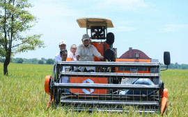 cadangan-beras-tembus-3-7-juta-ton-tonggak-sejarah-baru-ketahanan-pangan-nasional