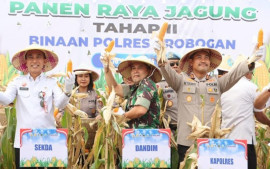 polres-grobogan-gelar-panen-raya-jagung-di-lahan-274-hektare-dukung-swasembada-pangan-nasional