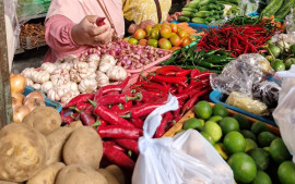harga-cabai-cabaian-hingga-bawang-bawangan-turun-akhir-pekan-ini